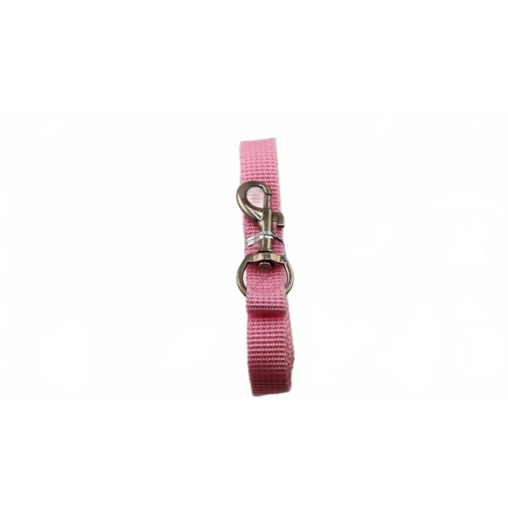Pink Leash